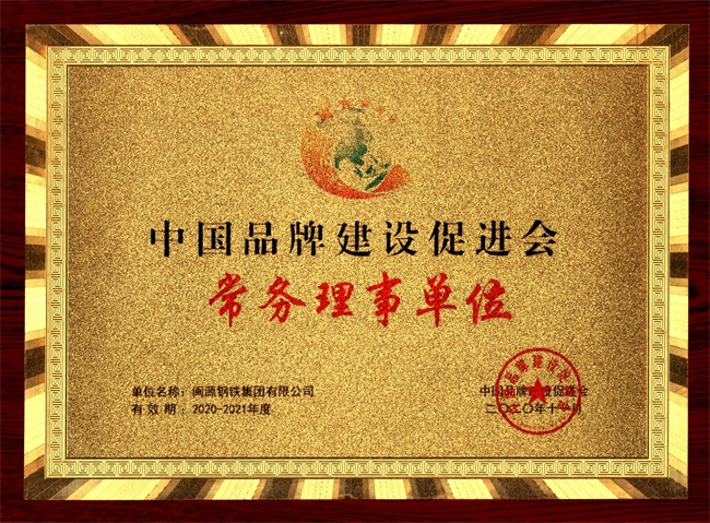 2020年12月4日荣获中国品牌建设会“第二届常务理事单位”.jpg